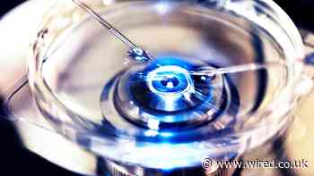 Embryonic Research Could Be the Next Target After Roe