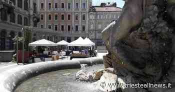 Tra antiquariato e hobbisti, il ritorno del “mercato dei tritoni” - Trieste News
