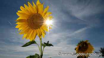 Wetter - Essen - 40 Grad möglich: NRW steht Hitzewelle bevor - Panorama - SZ.de - Süddeutsche Zeitung - SZ.de