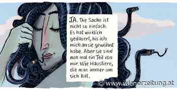 Comic - Dialog mit Steinen - Wiener Zeitung