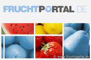 Neue Kolumne von Fritz Prem: Griff zu den Steinen - fruchtportal.de