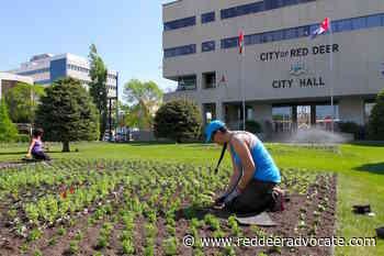 The City of Red Deer is now doing the most hiring since 2019 – Red Deer Advocate - Red Deer Advocate