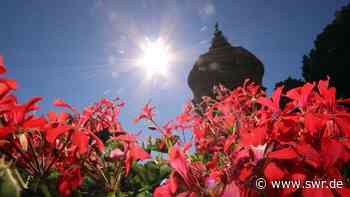 Hitze: Aktionsplan Stadt Mannheim, Pflegeheime und Tierärzte - SWR Aktuell