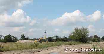 Bundesgartenschau: Geld- und Zeitpuffer aufgebraucht - Mannheim - DIE RHEINPFALZ - Rheinpfalz.de