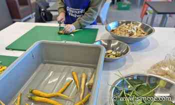 Sustainable Food Champion program allows Innisfil teens to help provide for community fridge - simcoe.com