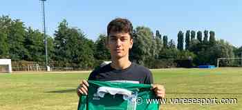 Un altro under per i pali della Sestese: ecco Oniscodi dal Gavirate - VareseSport