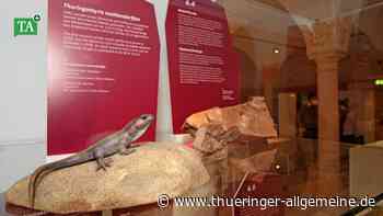 Gotha: Mit der Familie auf den Spuren der Ursaurier - Thüringer Allgemeine