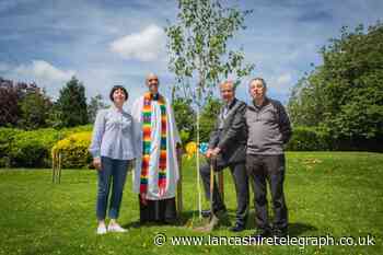 Clitheroe Castle peace tree as Ribble Valley welcomes Ukrainians