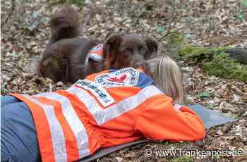Auch mit Hunden - Polizei sucht nach drei vermissten Personen - Frankenpost