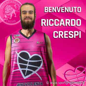 Crema annuncia il lungo Riccardo Crespi - SportGrigiorosso