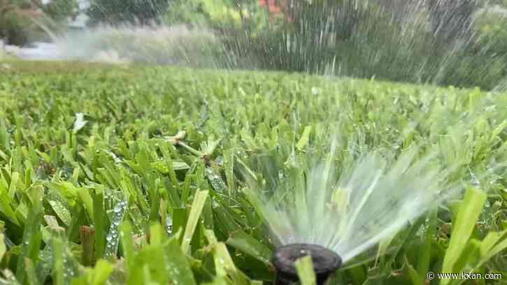 Lawns across Central Texas may not survive this summer's heat, experts warn
