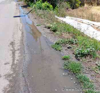 "Perdite d'acqua a Pescia Romana, in dieci giorni nessun intervento" - Tusciaweb.eu - Tuscia Web