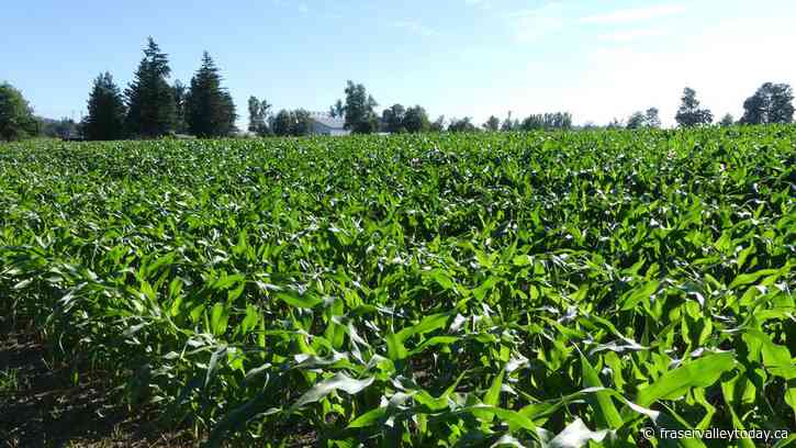 YOUR PERSPECTIVE: Preparing our communities to face the future