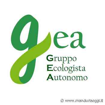MANDURIA - Il giudizio negativo di Gregorio Perrucci (GEA) al cartellone degli eventi estivi 2022 di Manduria - ManduriaOggi
