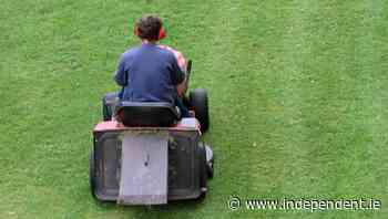 Council to end grass-cutting outside Dublin homes 'due to risk of legal claims' - Independent.ie