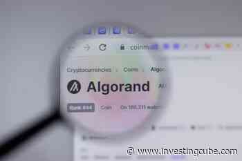 Algorand Price Prediction: Why ALGO Prices are Dropping - InvestingCube