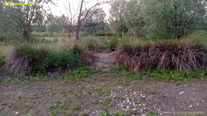 PARCO AGRICOLO SUD MILANO - PDL RIMANDATO A SETTEMBRE. DI MARCO (M5S): “CENTRODESTRA RITIRI QUESTA LEGGE PIENA DI LACUNE” - MI-LORENTEGGIO.COM - LE ULTIME NOTIZIE DI CRONACA, POLITICA, ANNUNCI, SPORT, FOTO E VIDEO DI MILANO E LA LOMBARDIA - Mi-Lorente