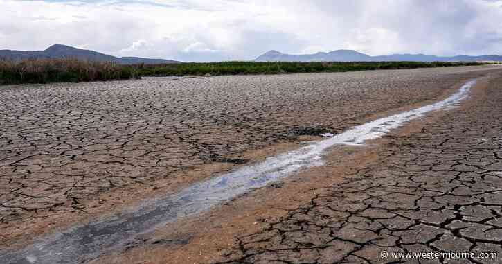 Farmland Literally Turning to Dust in State That Accounts for 1/4 of US Food Production