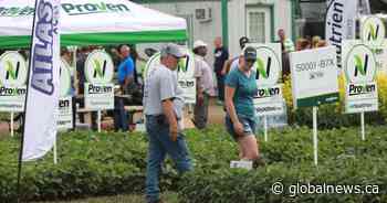 Ag in Motion kicks off at Discovery Farm Langham near Saskatoon - Global News