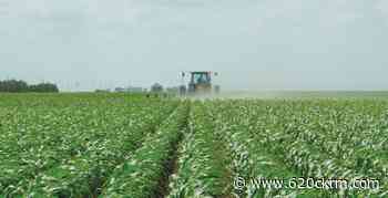 Ag in Motion opens Tuesday northwest of Saskatoon at Langham - 620 CKRM.com