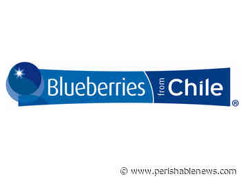 New Charter Service to Transport Fresh Blueberries from Chile to the United States Market During the Upcoming 2022-23 Season - PerishableNews