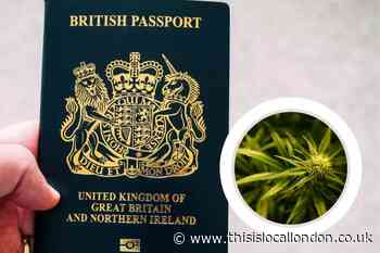 People who use cocaine and cannabis could lose passport in proposed new laws