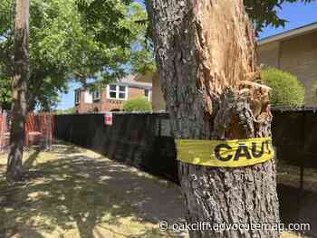 Demolition season: 8th Street apartments, Bishop Arts cottages torn down - Oak Cliff Advocate