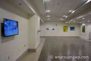 State Arts Council announces Call for Artists for the galleries at Block Island Airport and GREEN SPACE at RI T.F. Green International Airport - What'sUpNewp