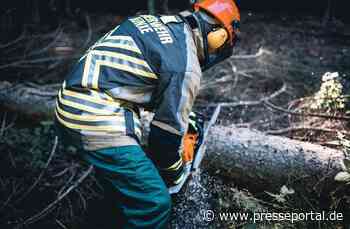 FW Hünxe: Ast auf Fahrbahn