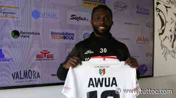 UFFICIALE - Pro Vercelli, Panico, Vitale e Awua ceduti al Crotone - Tutto Lega Pro