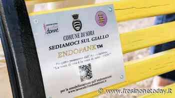 Lotta all’edometriosi, Sora inaugura la “panchina gialla” - FrosinoneToday