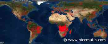Incendies monstres en Gironde, en Angleterre, en Afrique… La planète est-elle en train de brûler?