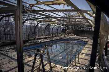 UK breaks record for highest temperature as Europe sizzles - Virden Empire Advance