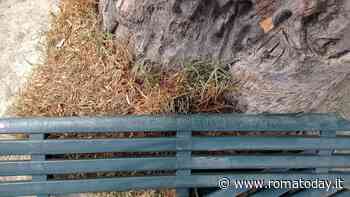 Balduina, distrutta la panchina della terrazza panoramica di piazzale Socrate