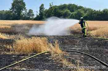 FW-BO: Flächenbrand in Langendreer