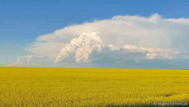 Calgary runs another storm risk Wednesday evening