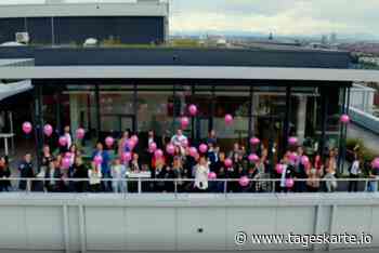 Zehn Jahre Online Birds - Über zwei Millionen Stunden Online-Marketing-Wissen für die Hotellerie - TAGESKARTE