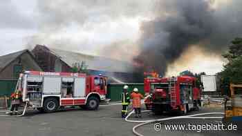 1,5 Millionen Euro Schaden bei Hof-Brand im Landkreis Cuxhaven - Blaulicht - Tageblatt-online