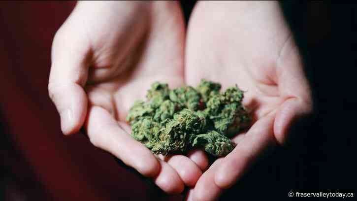 Chilliwack First Nations band inks deal with province to pursue cannabis economic development
