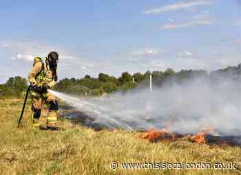 Damage to woodland after grass fire in South Croydon during heatwave