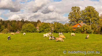 Foot and mouth disease found in Australia - Inside FMCG
