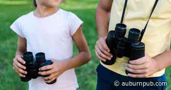 Friends of Hospice to sponsor Cayuga County children for Camp Healing Hearts - The Citizen