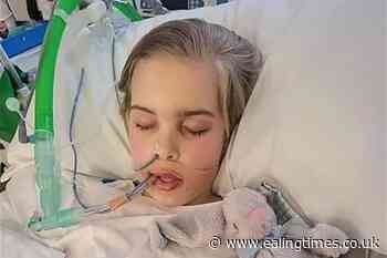 Archie Battersbee's parents prepare for next stage of legal battle - Ealing Times