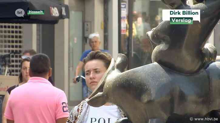 Voorlopig geen Hasseltse Centrummanager meer