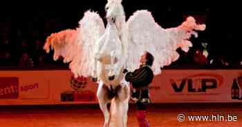 Paardenacts op 175 jaar Waregem Koerse | Waregem | hln.be - Het Laatste Nieuws