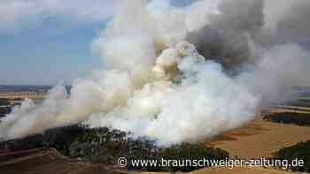 Spektakulärer Waldbrand im Kreis Börde: 25 Hektar betroffen