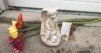 Calgary bylaw officers charge two dog owners in relation to fatal dog attack