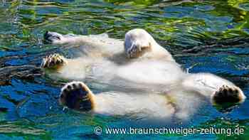 40,0 Grad – Niedersachsen hat vorläufigen neuen Hitzerekord