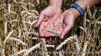 Deutsche Bahn plant «Getreidebrücke» aus der Ukraine