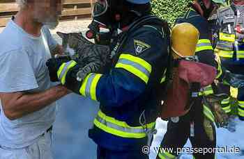 FW-M: Kleintiere aus Brandwohnung gerettet (Pasing-Obermenzing)